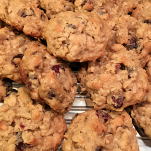 Oatmeal Cranberry Coconut Cookies